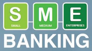 Read more about the article SME Credit Risk Management